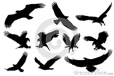 Eagle silhouette, flying bird silhouette Vector Illustration