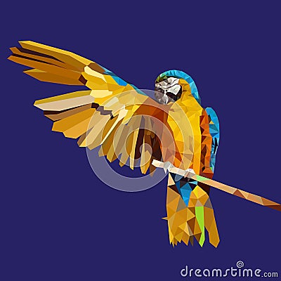 Low poly yellow parrot ,vector illustration. Vector Illustration