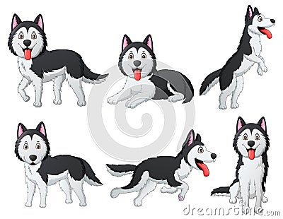 Set of funny siberian husky dog cartoon Vector Illustration