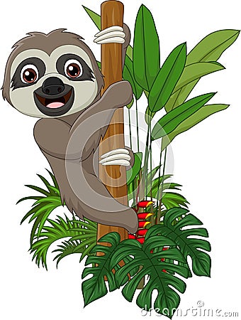 Cute baby sloth climbing on tree branch Vector Illustration