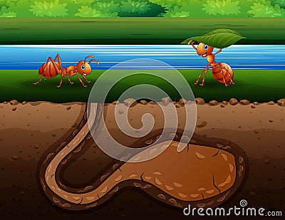 Ants cartoon crawling back to the hole Vector Illustration