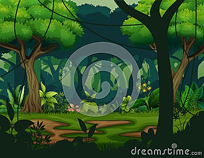 Dark rainforest with trees background Vector Illustration