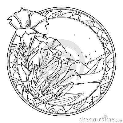Vector bouquet of outline Gentiana or trumpet Gentian flower, bud and leaf in round frame in black isolated on white background. Vector Illustration