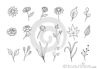 Flowers Sketch Collection with Line Art Style Vector Illustration