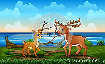 Family wild reindeer in the riverbank Cartoon Illustration