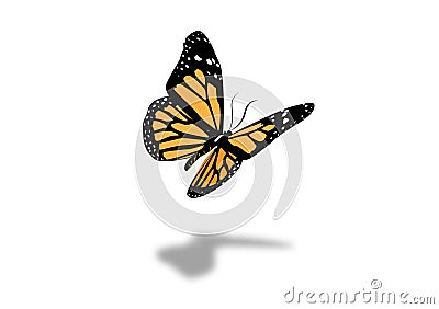 Monarch Butterfly vector illustration design Cartoon Illustration