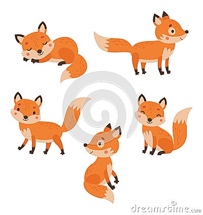 Foxes. Vector characters set Vector Illustration