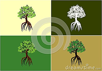 Mangrove tree with long roots collection Vector Illustration