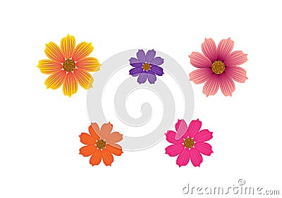 Different coloured flowers in vector form Stock Photo