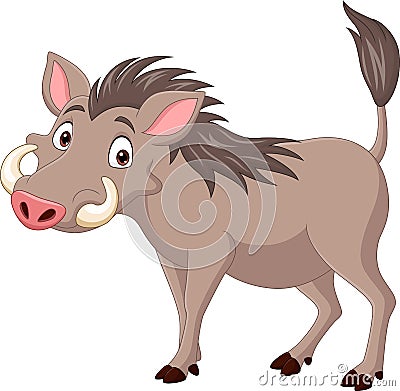 Cartoon warthog isolated on white background Vector Illustration