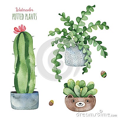 Watercolor potted plants set Stock Photo