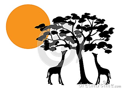 Giraffes silhouette on sunset, vector. Two giraffes silhouettes eating tree in nature, illustration. Vector Illustration