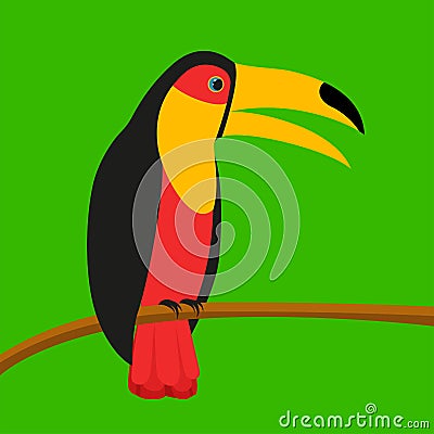 Toucan. A bird with a big beak. A toucan with a yellow beak. Bird. A noisy bird. Vector Illustration