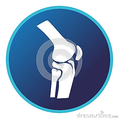 Knee bone icon. Vector flat design for radiology orthopedic research hospital for body joints Vector Illustration