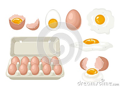 Set of chicken eggs. Whole eggs in carton box, broken egg, yolk, boiled, fried egg and cracked shell. Vector Illustration