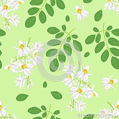 Moringa white flowers and green leaves seamless pattern. Vector illustration Vector Illustration