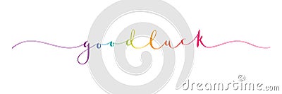 GOOD LUCK colorful brush calligraphy banner Vector Illustration