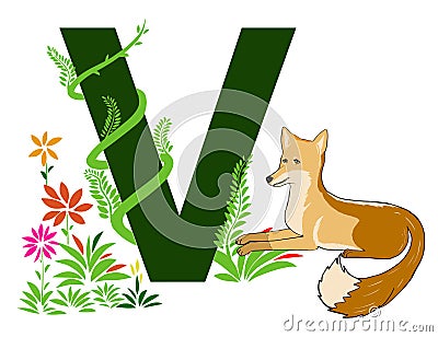 Letter V with green grass vines and Vixen Cartoon Illustration