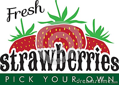 Pick your own fresh strawberries sign for a farm stand Vector Illustration