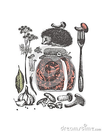 PrintA selection of elements from plants and animals to create works about pickles and marinades from wild mushrooms, vegetables a Vector Illustration