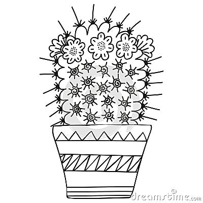 Black and white Mammillaria magnimamma with blossoming flowers growing in a pot in a Scandinavian style. Cactus for coloring book, Vector Illustration