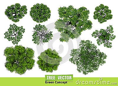 Trees top view for landscape vector illustration. Vector Illustration