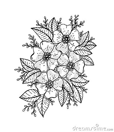 Doodle floral pattern in black and white. Page for coloring book: very interesting and relaxing job for children and adults Vector Illustration