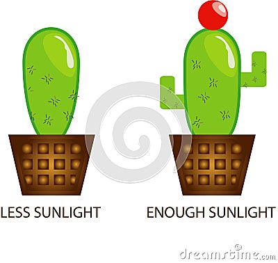 Vector illustration cactus plant growth decoration Vector Illustration