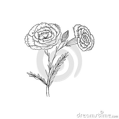 Sketch style hand drawn floral illustration Vector Illustration