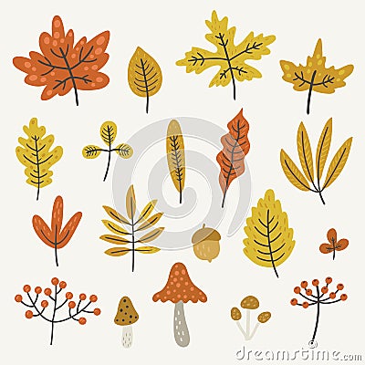 Autumn leaves and mushrooms, vector set Vector Illustration