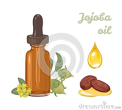 Jojoba oil in amber glass dropper bottle isolated Vector Illustration