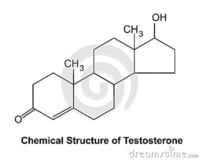 Chemical Structure of Testosterone Vector Illustration