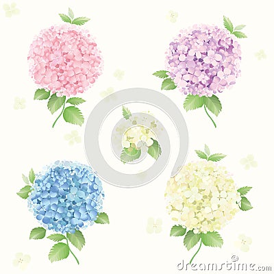 Hydrangea vector set, cards, seamless pattern, background Vector Illustration