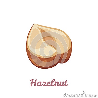 Hazelnut icon. Peeled hazelnut half isolated on white background. Vector illustration Vector Illustration