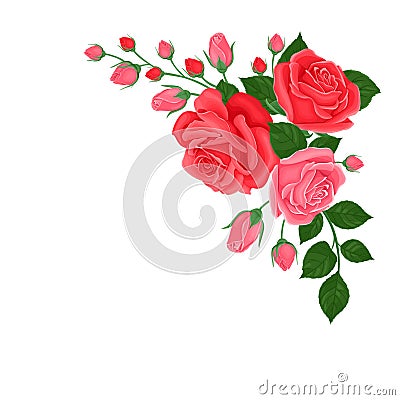 Bouquet of pink and red roses. Corner element for decoration of greeting card, banner. Vector Illustration