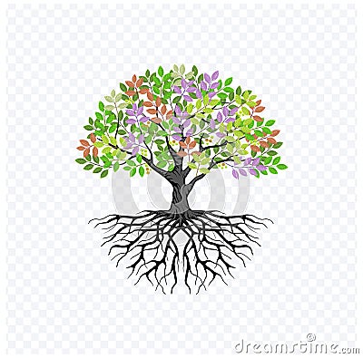 Vibrant tree vector art, tree and roots illustrations isolated on white Vector Illustration