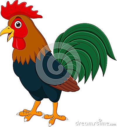 Cartoon funny rooster on white background Vector Illustration