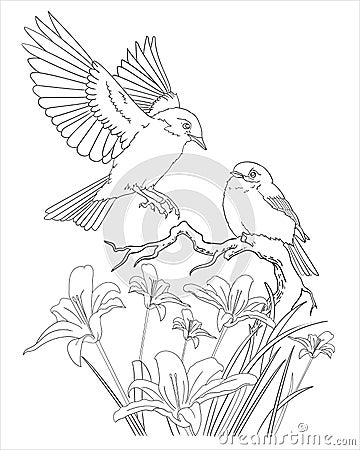 two litle birds and flower coloring page Vector Illustration