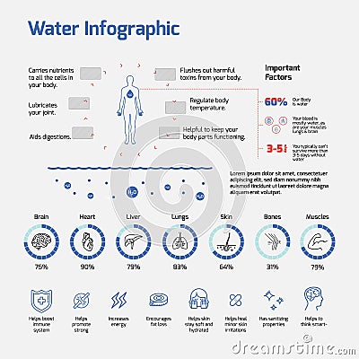 Water Infographic- water levels, importance of water, Vector Illustration