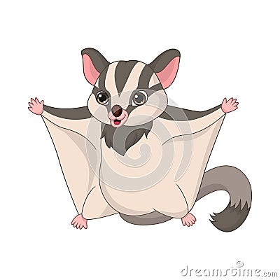 Cartoon sugar glider on white background Vector Illustration