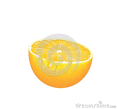 Half orange slice Vector Illustration