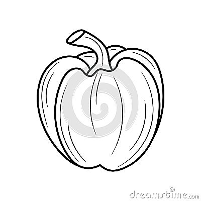 Simple hand drawn Paprika vector illustration Cartoon Illustration