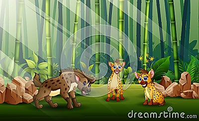 Cartoon of three hyenas in the bamboo forest Cartoon Illustration