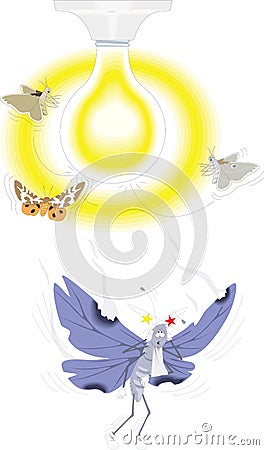 mosquito bee butterfly light insect vector illustration transparent background Vector Illustration
