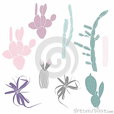 Cactus succulent wild rose flowers tender pink green pastel color. Home plants beautiful cacti succulents collection. Cartoon Illustration