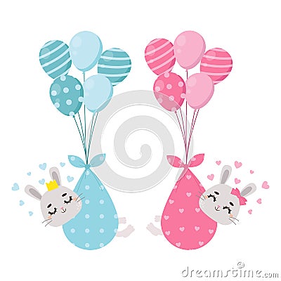 Cute baby rabbit being delivered via balloons. Baby gender reveal boy or girl. Vector Illustration