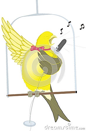 funny yellow canary sing bird vector illustration transparent background Vector Illustration