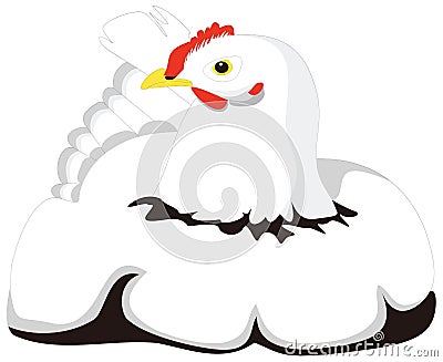 hen chicken and egg incubate bird vector illustration transparent background Vector Illustration