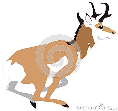 antelope deer run animal vector illustration transparent background Vector Illustration