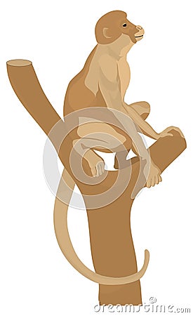 monkey on the tree animal vector illustration transparent background Vector Illustration